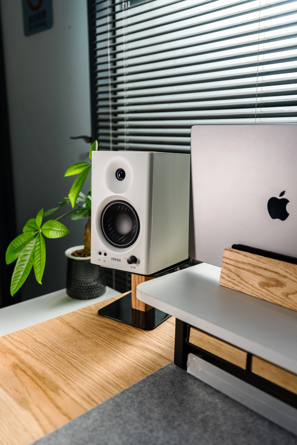 Black Walnut Desktop Speaker Stand